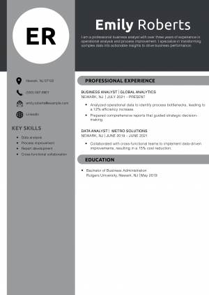 Professional Business Analyst Resume Example