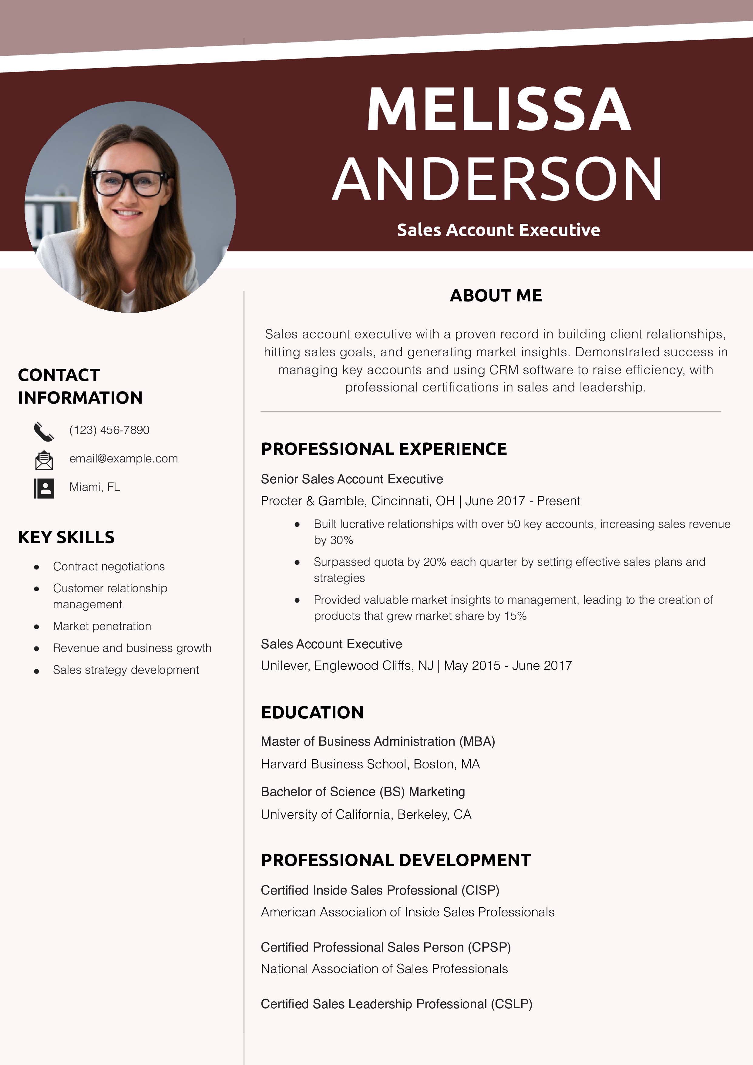 Sales Account Executive Resume Templates