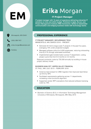 IT Project Manager Resume Example