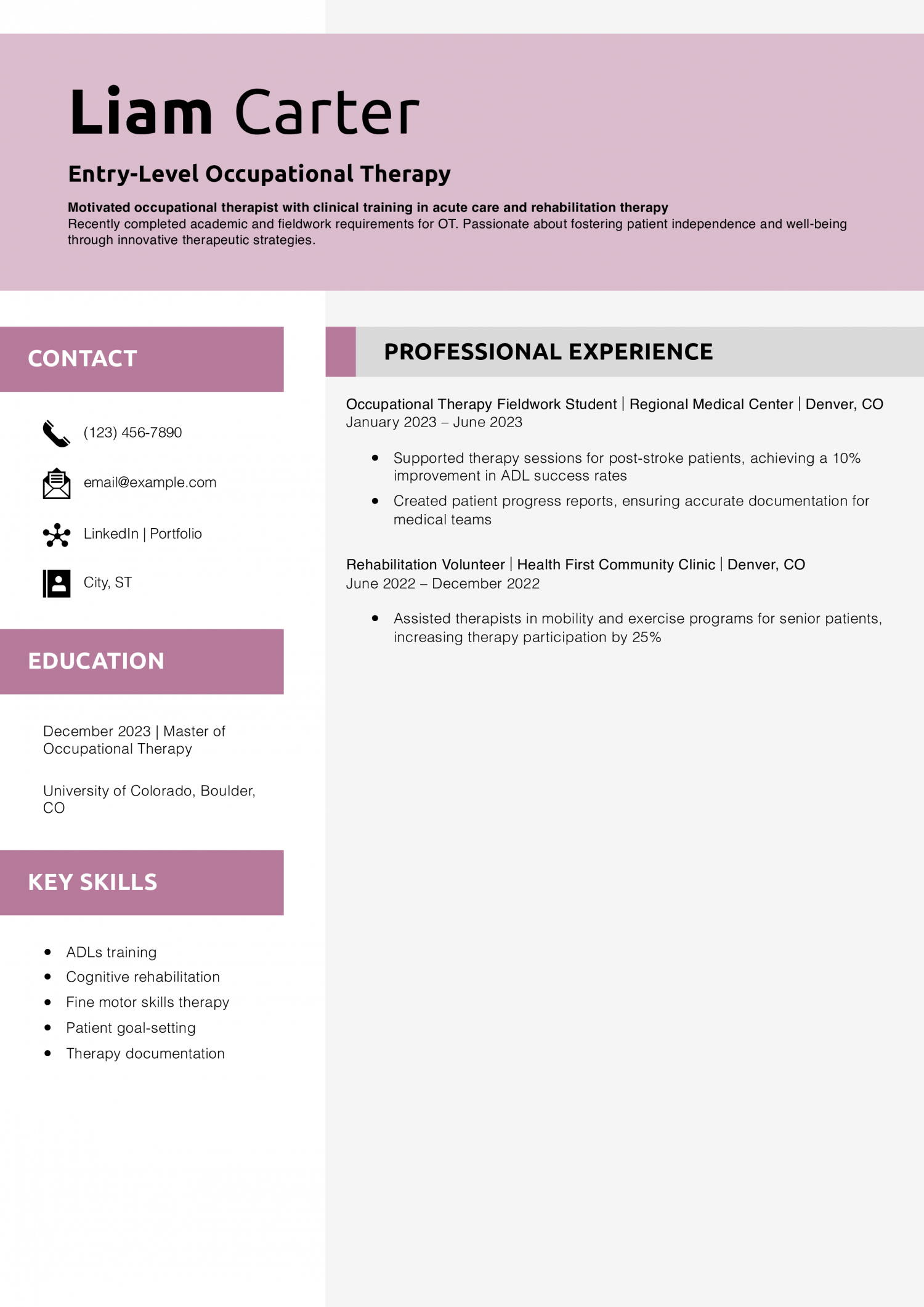 Entry-Level Occupational Therapy Resume